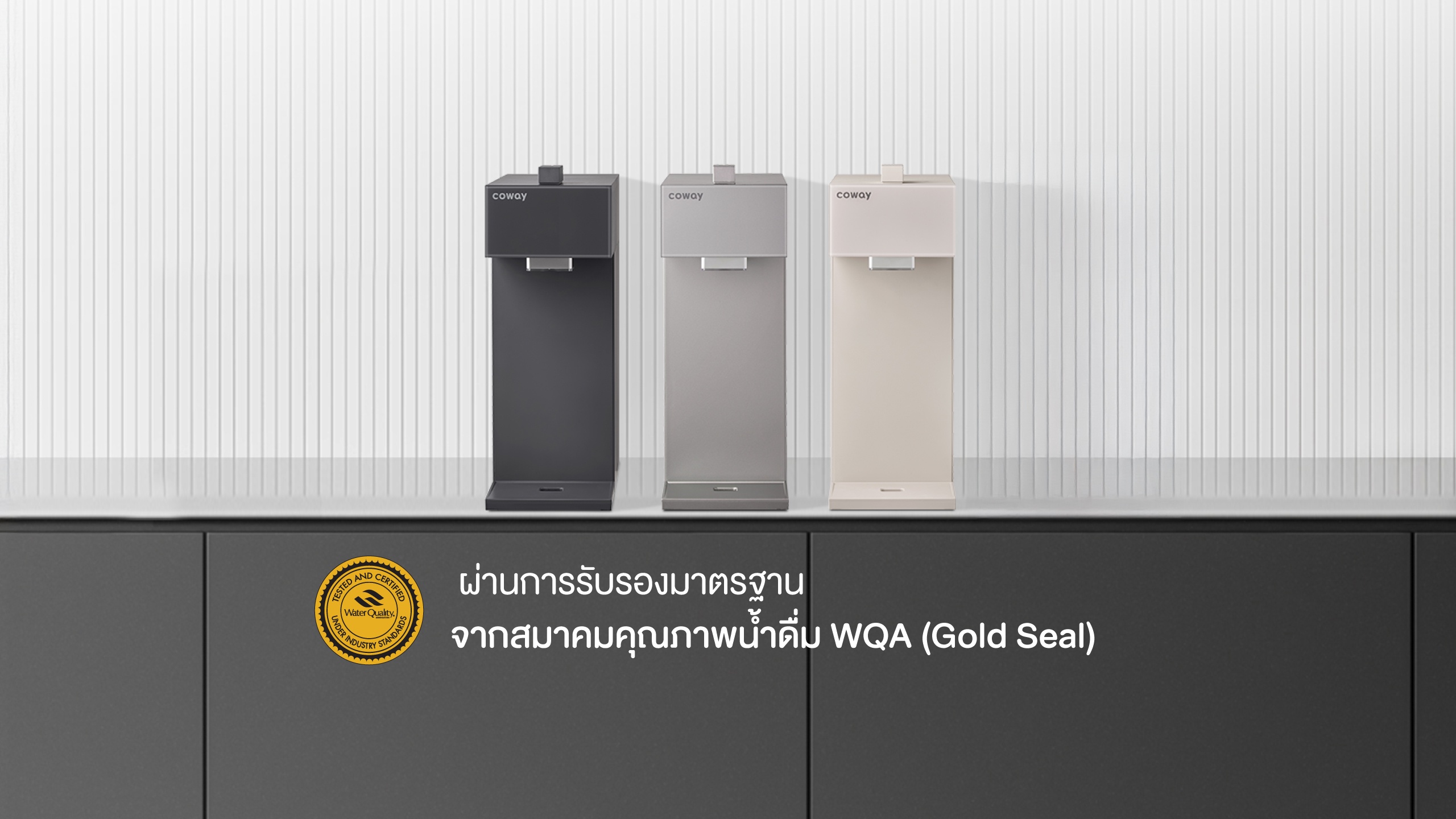 เครื่องกรองน้ำ Coway โคเวย์ Switch สวิทช์ P-2200N